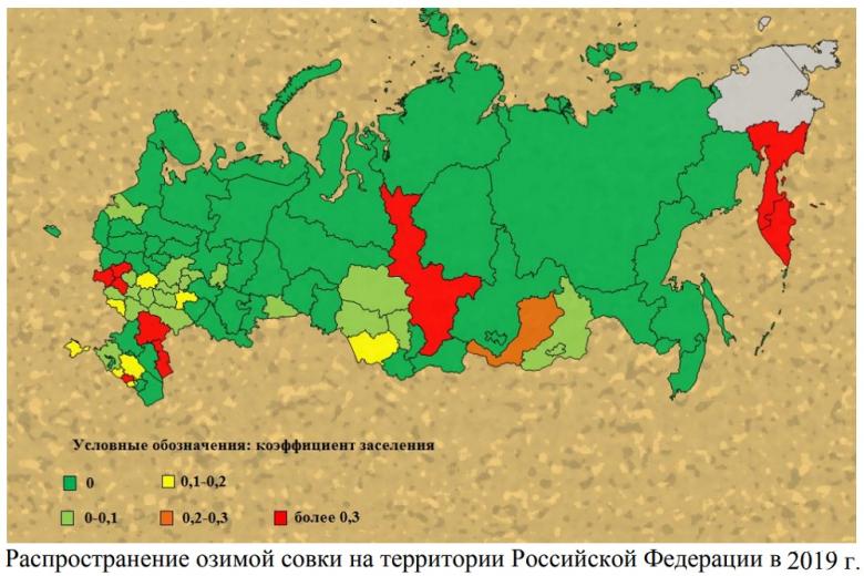 «Россельхозцентр» опубликовал прогноз по болезням и вредителям-2020 